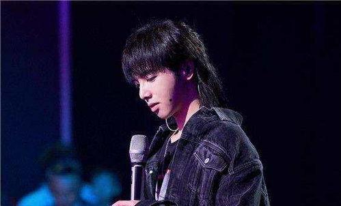 娱乐吃瓜华晨宇是谁啊,娱乐吃瓜界的焦点人物